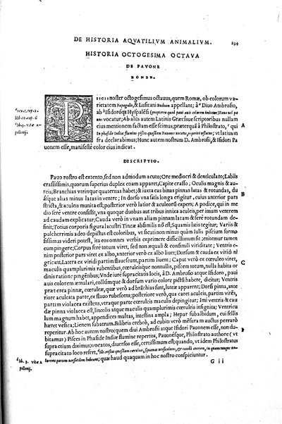 Aquatilium animalium historiæ, liber primus, cum eorundem formis, ære excusis. Hippolyto Saluiano ... auctore