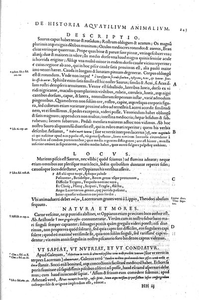 Aquatilium animalium historiæ, liber primus, cum eorundem formis, ære excusis. Hippolyto Saluiano ... auctore