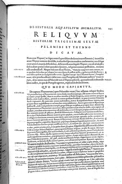 Aquatilium animalium historiæ, liber primus, cum eorundem formis, ære excusis. Hippolyto Saluiano ... auctore