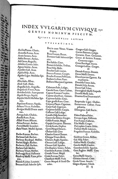 Aquatilium animalium historiæ, liber primus, cum eorundem formis, ære excusis. Hippolyto Saluiano ... auctore