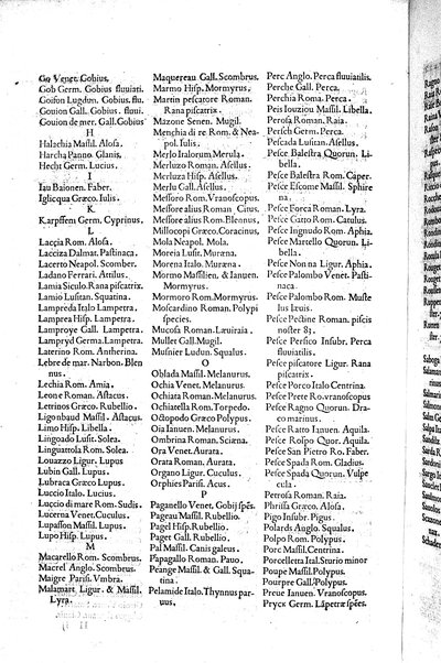 Aquatilium animalium historiæ, liber primus, cum eorundem formis, ære excusis. Hippolyto Saluiano ... auctore