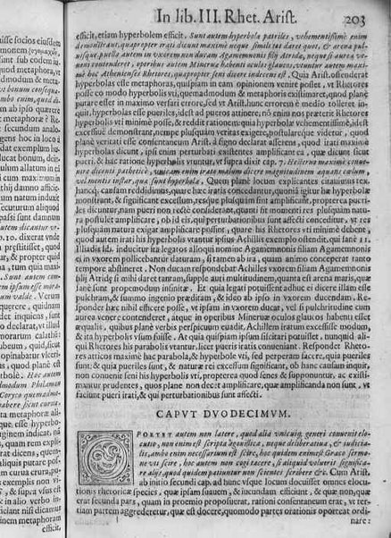 [In librum Rhet. Arist. egregia explicatio]