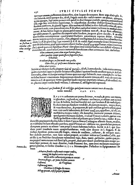 Stephani Forcatuli Tholosae legum professoris ... Opera ab eo ita recognita et aucta, vt si cum prioribus separatim editis conferas, non eadem sed noua plane videantur. praeterea septuaginta plus dialogis ac aliis commentaariis, qui hactenus in lucem non prodierunt, ab ipso authore locupletata. Accessit duplex index, prior est legum in his operibus explicatarum; posterior materiarum longe vberrimus, quibus varius & multiplices tantarum lucubrationum fructus facilius decerpere lector queat