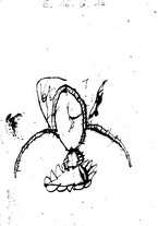 libroantico/BVEE014146/0003