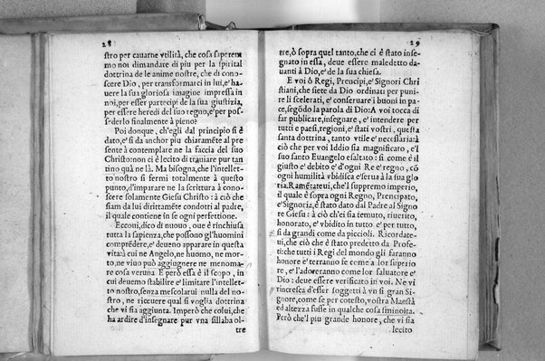 Il Nuovo ed eterno Testamento di Giesu Christo. Nuouamente da l'originale fonte greca, con ogni diligenza in toscano tradotto. Per Massimo Theophilo fiorentino