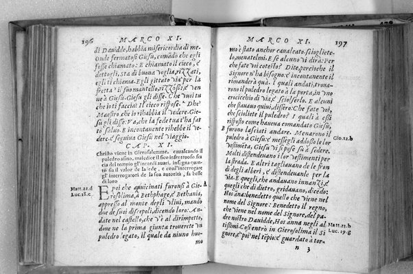 Il Nuovo ed eterno Testamento di Giesu Christo. Nuouamente da l'originale fonte greca, con ogni diligenza in toscano tradotto. Per Massimo Theophilo fiorentino