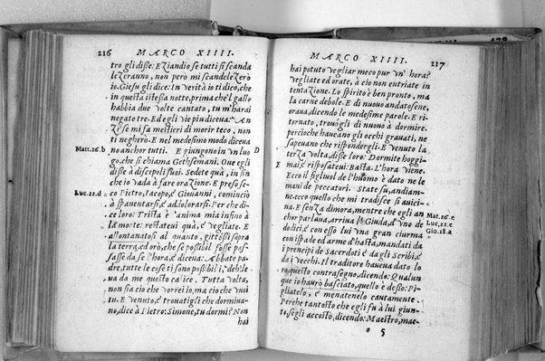 Il Nuovo ed eterno Testamento di Giesu Christo. Nuouamente da l'originale fonte greca, con ogni diligenza in toscano tradotto. Per Massimo Theophilo fiorentino