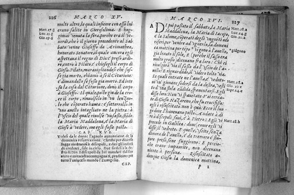 Il Nuovo ed eterno Testamento di Giesu Christo. Nuouamente da l'originale fonte greca, con ogni diligenza in toscano tradotto. Per Massimo Theophilo fiorentino