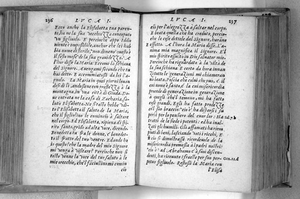 Il Nuovo ed eterno Testamento di Giesu Christo. Nuouamente da l'originale fonte greca, con ogni diligenza in toscano tradotto. Per Massimo Theophilo fiorentino