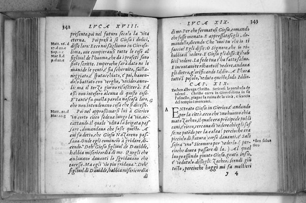 Il Nuovo ed eterno Testamento di Giesu Christo. Nuouamente da l'originale fonte greca, con ogni diligenza in toscano tradotto. Per Massimo Theophilo fiorentino