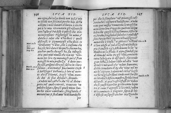 Il Nuovo ed eterno Testamento di Giesu Christo. Nuouamente da l'originale fonte greca, con ogni diligenza in toscano tradotto. Per Massimo Theophilo fiorentino