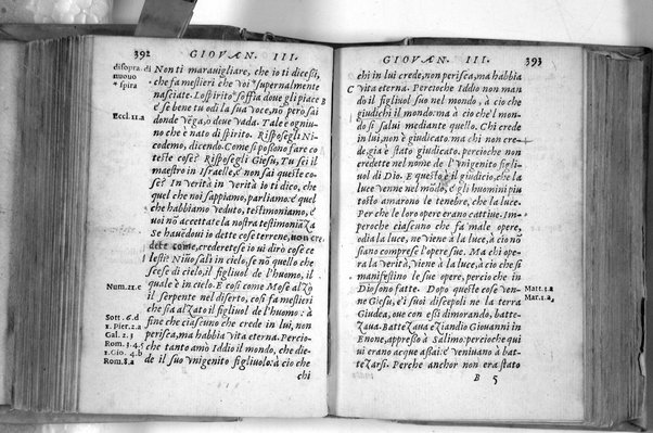 Il Nuovo ed eterno Testamento di Giesu Christo. Nuouamente da l'originale fonte greca, con ogni diligenza in toscano tradotto. Per Massimo Theophilo fiorentino