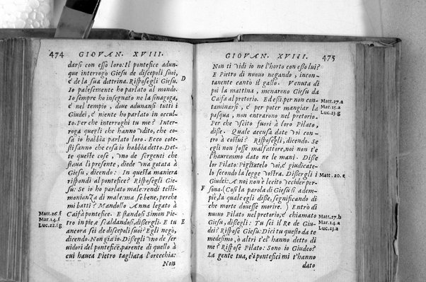 Il Nuovo ed eterno Testamento di Giesu Christo. Nuouamente da l'originale fonte greca, con ogni diligenza in toscano tradotto. Per Massimo Theophilo fiorentino