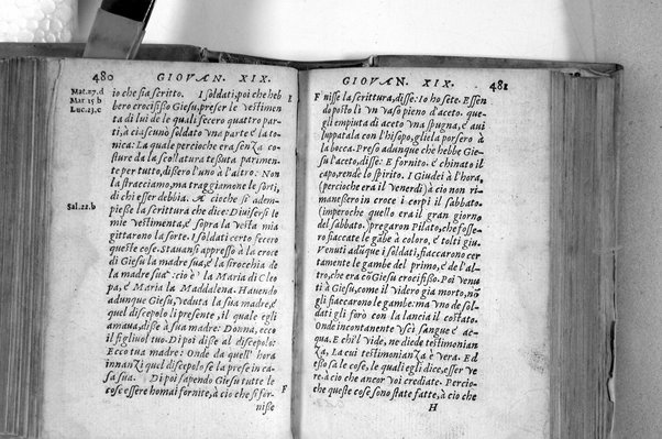 Il Nuovo ed eterno Testamento di Giesu Christo. Nuouamente da l'originale fonte greca, con ogni diligenza in toscano tradotto. Per Massimo Theophilo fiorentino