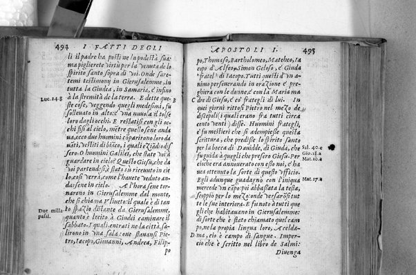 Il Nuovo ed eterno Testamento di Giesu Christo. Nuouamente da l'originale fonte greca, con ogni diligenza in toscano tradotto. Per Massimo Theophilo fiorentino