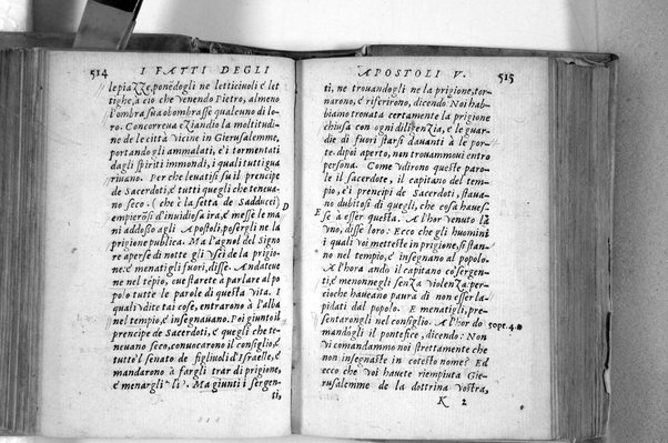 Il Nuovo ed eterno Testamento di Giesu Christo. Nuouamente da l'originale fonte greca, con ogni diligenza in toscano tradotto. Per Massimo Theophilo fiorentino