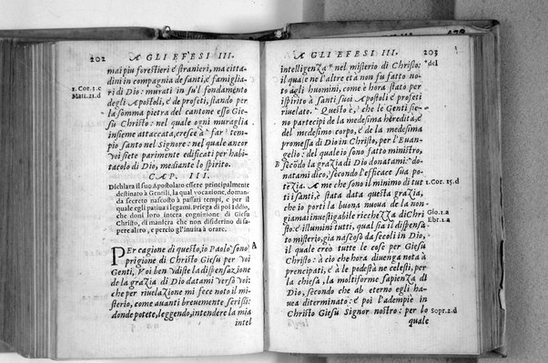 Il Nuovo ed eterno Testamento di Giesu Christo. Nuouamente da l'originale fonte greca, con ogni diligenza in toscano tradotto. Per Massimo Theophilo fiorentino