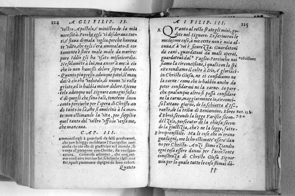 Il Nuovo ed eterno Testamento di Giesu Christo. Nuouamente da l'originale fonte greca, con ogni diligenza in toscano tradotto. Per Massimo Theophilo fiorentino