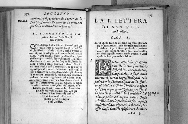 Il Nuovo ed eterno Testamento di Giesu Christo. Nuouamente da l'originale fonte greca, con ogni diligenza in toscano tradotto. Per Massimo Theophilo fiorentino