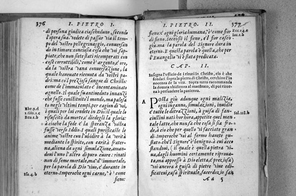 Il Nuovo ed eterno Testamento di Giesu Christo. Nuouamente da l'originale fonte greca, con ogni diligenza in toscano tradotto. Per Massimo Theophilo fiorentino