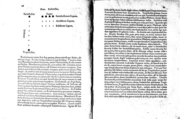 Aeliani De militaribus ordinibus instituendis more graecorum liber a Francisco Robortello Vtinensi in Latinum sermonem uersus, & ab eodem picturis quàmplurimis illustratus