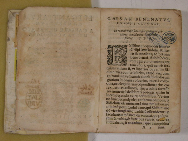 Elegantiarum compendium a Caesare Benenato multa accessione nuper et auctum, & recognitum. Aloisio Antonio Sompano Sidicino, & presbytero Sergio Sarmentio Salano authoribus. Addita est praeterea forensium verborum, & loquendi generum interpretatio ab eodem Caesare Benenato concinnata