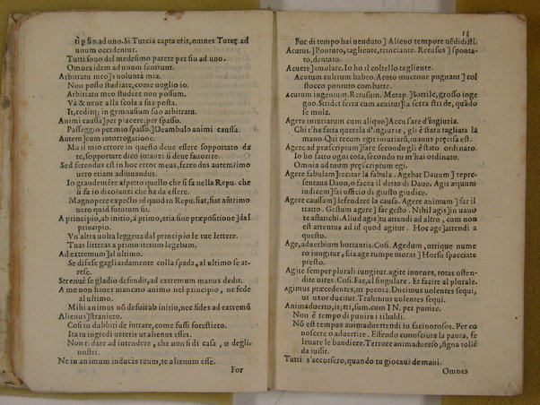 Elegantiarum compendium a Caesare Benenato multa accessione nuper et auctum, & recognitum. Aloisio Antonio Sompano Sidicino, & presbytero Sergio Sarmentio Salano authoribus. Addita est praeterea forensium verborum, & loquendi generum interpretatio ab eodem Caesare Benenato concinnata