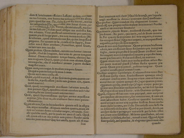 Elegantiarum compendium a Caesare Benenato multa accessione nuper et auctum, & recognitum. Aloisio Antonio Sompano Sidicino, & presbytero Sergio Sarmentio Salano authoribus. Addita est praeterea forensium verborum, & loquendi generum interpretatio ab eodem Caesare Benenato concinnata