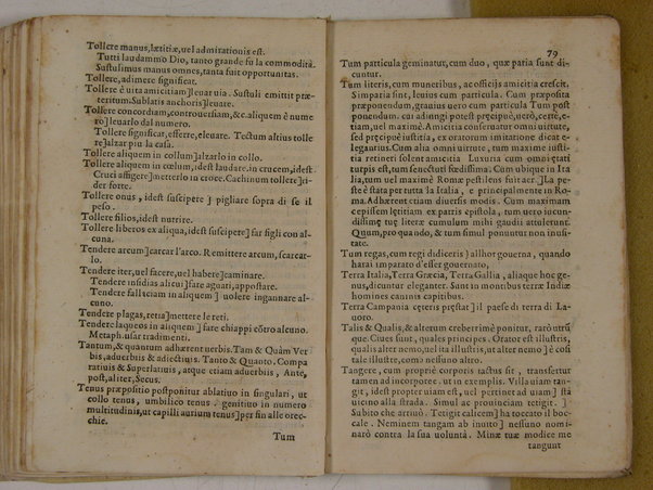 Elegantiarum compendium a Caesare Benenato multa accessione nuper et auctum, & recognitum. Aloisio Antonio Sompano Sidicino, & presbytero Sergio Sarmentio Salano authoribus. Addita est praeterea forensium verborum, & loquendi generum interpretatio ab eodem Caesare Benenato concinnata