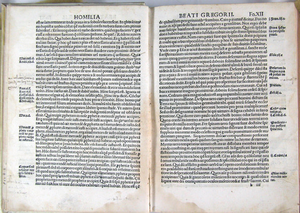 Homilie diuersorum authorum in segmenta ex quattuor euangelistis excerpta: .. nuper recognite & accuratissime emmendate: ad integritatemque restitute & cum quibusdam aliis que defuerant additis: ac sacre scripture locis aliisque rebus in marginibus omnium adnotatis Hispali per bacchallarium Petrum Nuñez delgado presbyterum