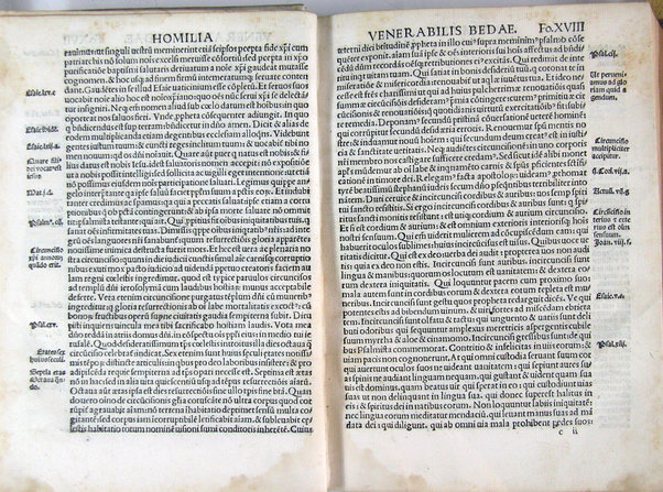 Homilie diuersorum authorum in segmenta ex quattuor euangelistis excerpta: .. nuper recognite & accuratissime emmendate: ad integritatemque restitute & cum quibusdam aliis que defuerant additis: ac sacre scripture locis aliisque rebus in marginibus omnium adnotatis Hispali per bacchallarium Petrum Nuñez delgado presbyterum