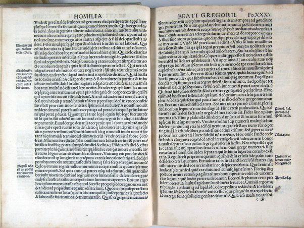 Homilie diuersorum authorum in segmenta ex quattuor euangelistis excerpta: .. nuper recognite & accuratissime emmendate: ad integritatemque restitute & cum quibusdam aliis que defuerant additis: ac sacre scripture locis aliisque rebus in marginibus omnium adnotatis Hispali per bacchallarium Petrum Nuñez delgado presbyterum