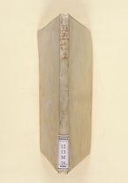 libroantico/BVEE031359/0003