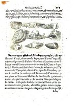 libroantico/BVEE033098/0209