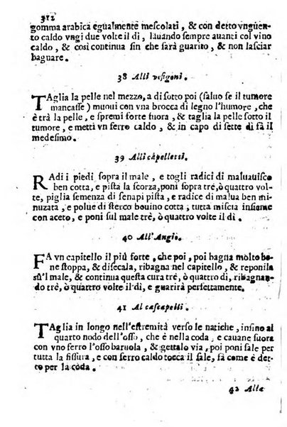 Cento, e dieci ricordi, che formano il buon fattor di villa di Giacomo Agostinetti. Ne' quali si tratta quello, e quanto deue sapere vn buon fattor di villa, ... Et in fine vna raccolta di rimedij per varie infermità di buoi, caualli, & altri animali. ...