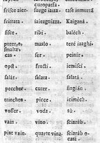 libroantico/BVEE033349/0292