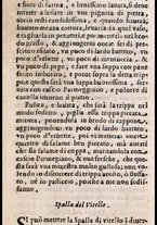 libroantico/BVEE033351/00000022