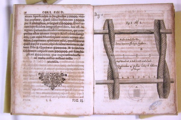 Micrographia nova: sive nova & curiosa variorum minutorum corporum singularis cujusdam & noviter ab autore inventi microscopii ope adauctorum & miranda magnitudine repraesentatorum descriptio tam utilitatis quam jucunditatis gratiae additis eorum figuris, publicata à Joh. Francisco Griendelio ...