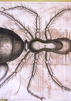 libroantico/BVEE034445/0010