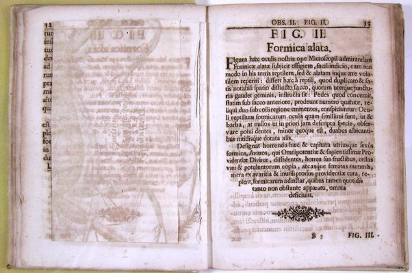 Micrographia nova: sive nova & curiosa variorum minutorum corporum singularis cujusdam & noviter ab autore inventi microscopii ope adauctorum & miranda magnitudine repraesentatorum descriptio tam utilitatis quam jucunditatis gratiae additis eorum figuris, publicata à Joh. Francisco Griendelio ...