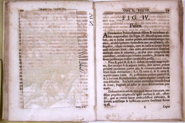 Micrographia nova: sive nova & curiosa variorum minutorum corporum singularis cujusdam & noviter ab autore inventi microscopii ope adauctorum & miranda magnitudine repraesentatorum descriptio tam utilitatis quam jucunditatis gratiae additis eorum figuris, publicata à Joh. Francisco Griendelio ...