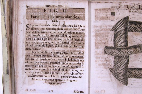 Micrographia nova: sive nova & curiosa variorum minutorum corporum singularis cujusdam & noviter ab autore inventi microscopii ope adauctorum & miranda magnitudine repraesentatorum descriptio tam utilitatis quam jucunditatis gratiae additis eorum figuris, publicata à Joh. Francisco Griendelio ...