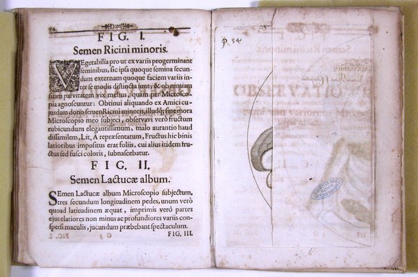 Micrographia nova: sive nova & curiosa variorum minutorum corporum singularis cujusdam & noviter ab autore inventi microscopii ope adauctorum & miranda magnitudine repraesentatorum descriptio tam utilitatis quam jucunditatis gratiae additis eorum figuris, publicata à Joh. Francisco Griendelio ...