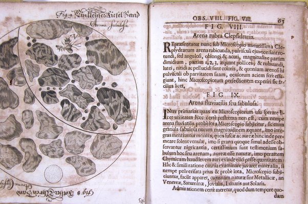 Micrographia nova: sive nova & curiosa variorum minutorum corporum singularis cujusdam & noviter ab autore inventi microscopii ope adauctorum & miranda magnitudine repraesentatorum descriptio tam utilitatis quam jucunditatis gratiae additis eorum figuris, publicata à Joh. Francisco Griendelio ...