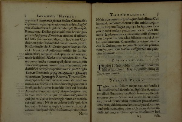 Tabacologia: hoc est tabaci, seu nicotianae descripti medico-chirurgico-pharmaceutica vel eius praeparatio et usus in omnibus fermè corporis humani incommodis. Per Johannem Neandrum Bremanum, ...