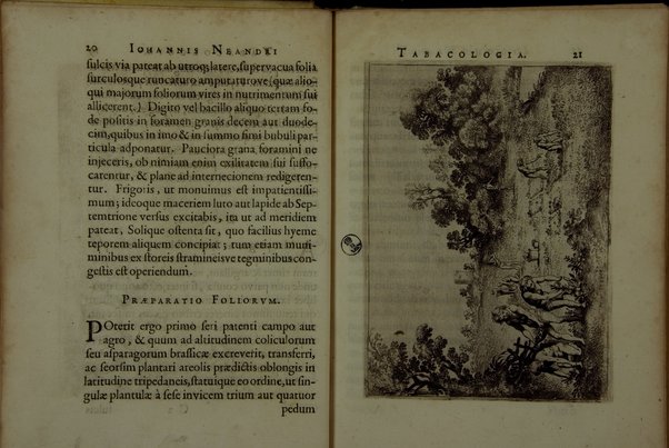 Tabacologia: hoc est tabaci, seu nicotianae descripti medico-chirurgico-pharmaceutica vel eius praeparatio et usus in omnibus fermè corporis humani incommodis. Per Johannem Neandrum Bremanum, ...