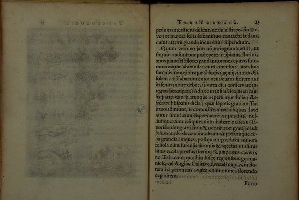 Tabacologia: hoc est tabaci, seu nicotianae descripti medico-chirurgico-pharmaceutica vel eius praeparatio et usus in omnibus fermè corporis humani incommodis. Per Johannem Neandrum Bremanum, ...