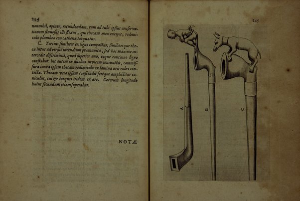 Tabacologia: hoc est tabaci, seu nicotianae descripti medico-chirurgico-pharmaceutica vel eius praeparatio et usus in omnibus fermè corporis humani incommodis. Per Johannem Neandrum Bremanum, ...