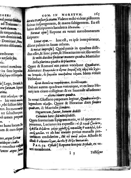 Catalecta Virgilii & aliorum poëtarum Latinorum veterum poematia: cum commentariis Iosephi Scaligeri Iul. Caes. fil