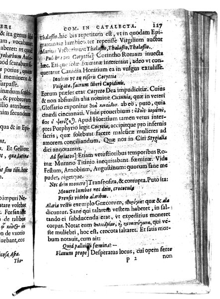 Catalecta Virgilii & aliorum poëtarum Latinorum veterum poematia: cum commentariis Iosephi Scaligeri Iul. Caes. fil